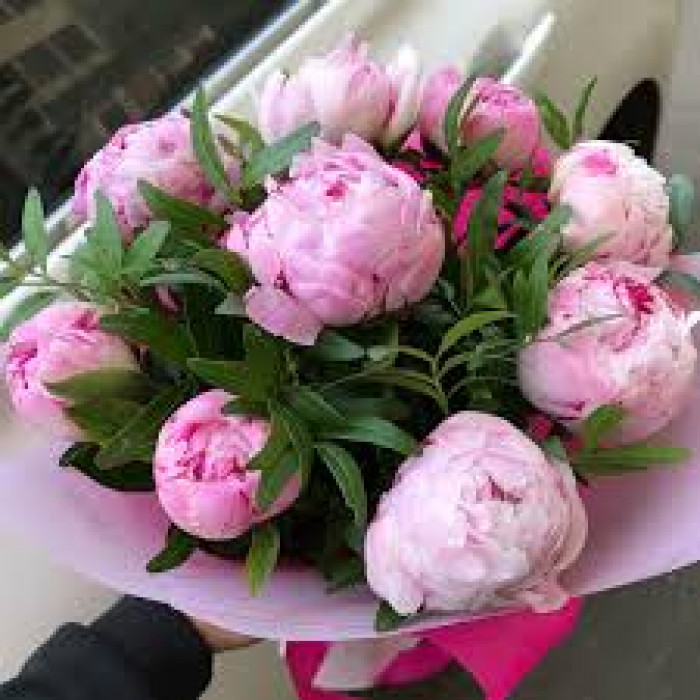 Пион древовидный в Риддере