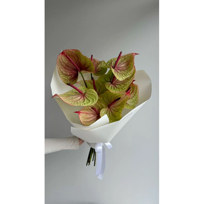 Антуриумы в Риддере