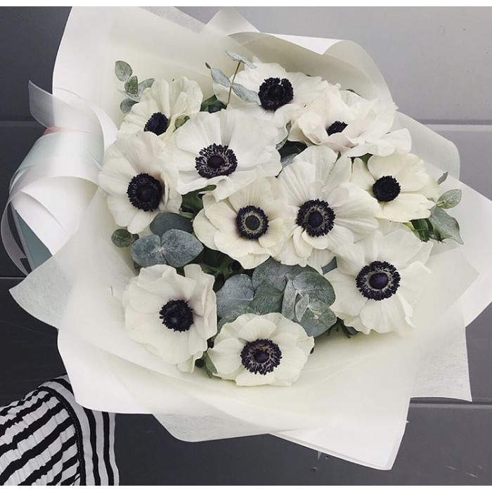 Анемоны в Риддере