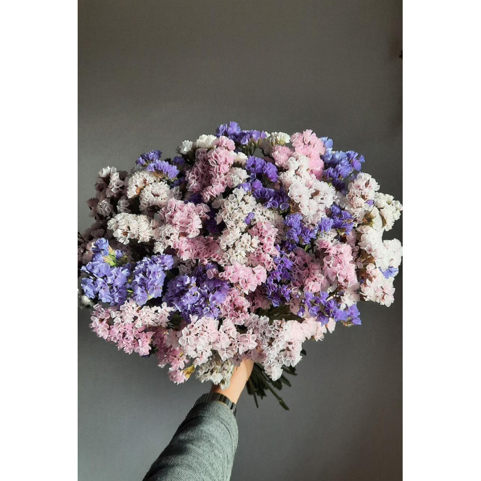 Статица (Лимониум) в Риддере