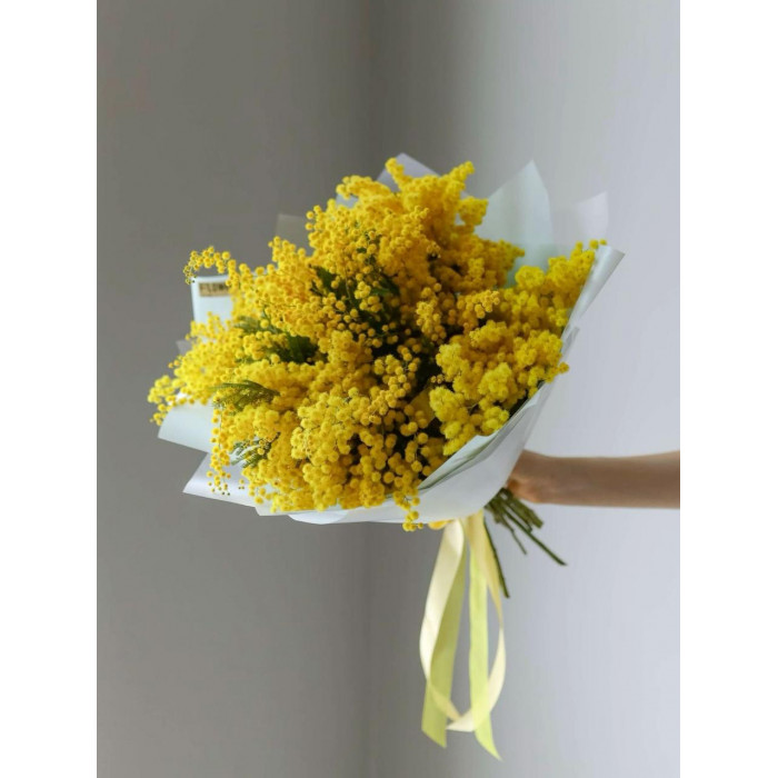 Мимоза в Риддере