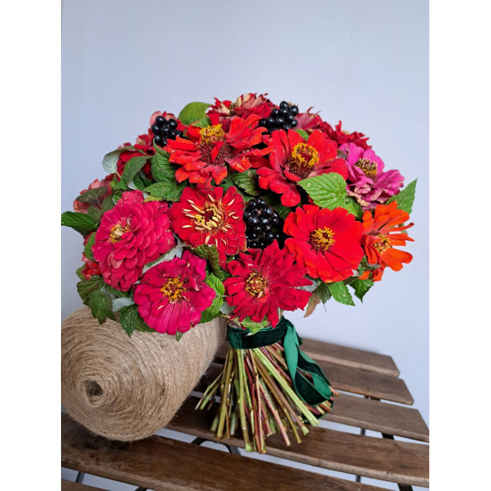 Циния в Риддере