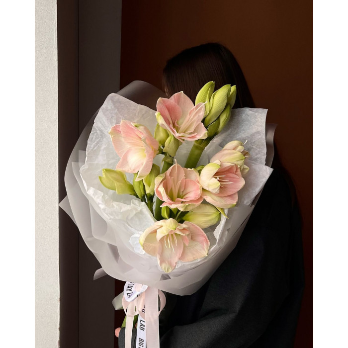 Амариллис в Риддере