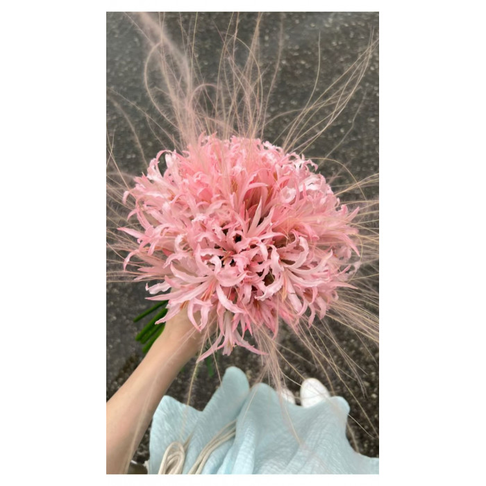 Нерине в Риддере