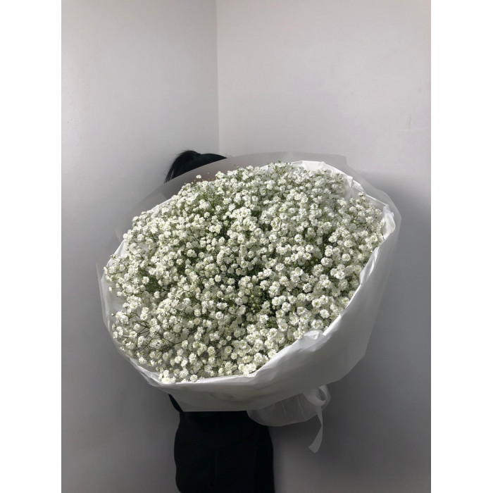 Гипсофила классическая в Риддере