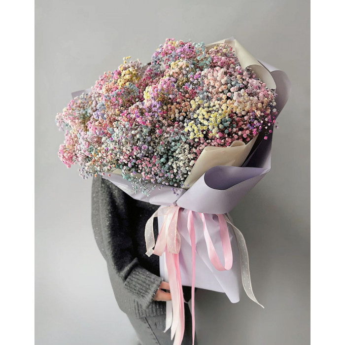 Гипсофила цветная в Риддере