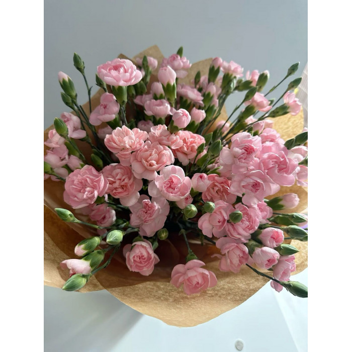 Кустовые гвоздики в Риддере