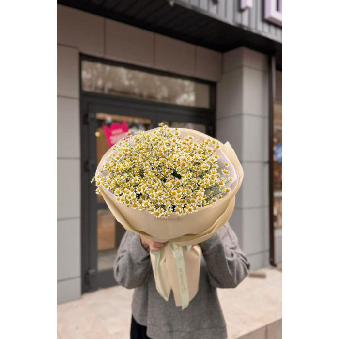 Танацетум в Риддере