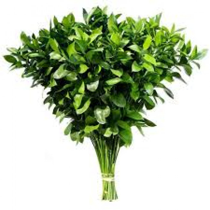 Рускус в Риддере